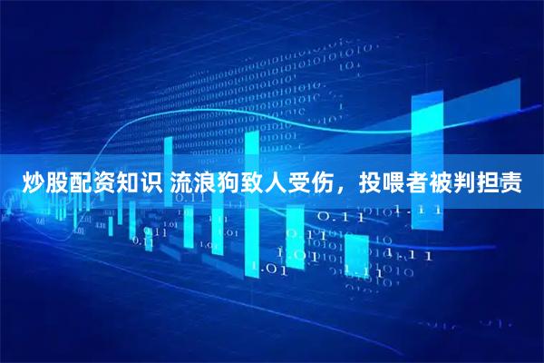 炒股配资知识 流浪狗致人受伤，投喂者被判担责