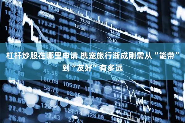 杠杆炒股在哪里申请 携宠旅行渐成刚需从“能带”到“友好”有多远